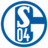 Schalke 04 Icon